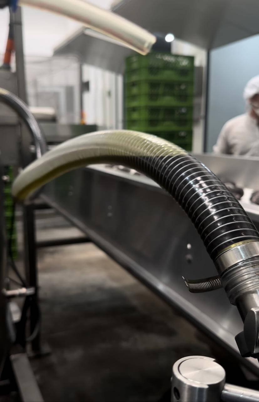 Aceite de aguacate verde dorado fluyendo — primer prensado en frío